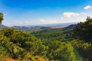 Ruta Collado Atamaria Murcia