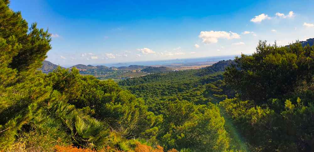 Ruta Collado Atamaria Murcia