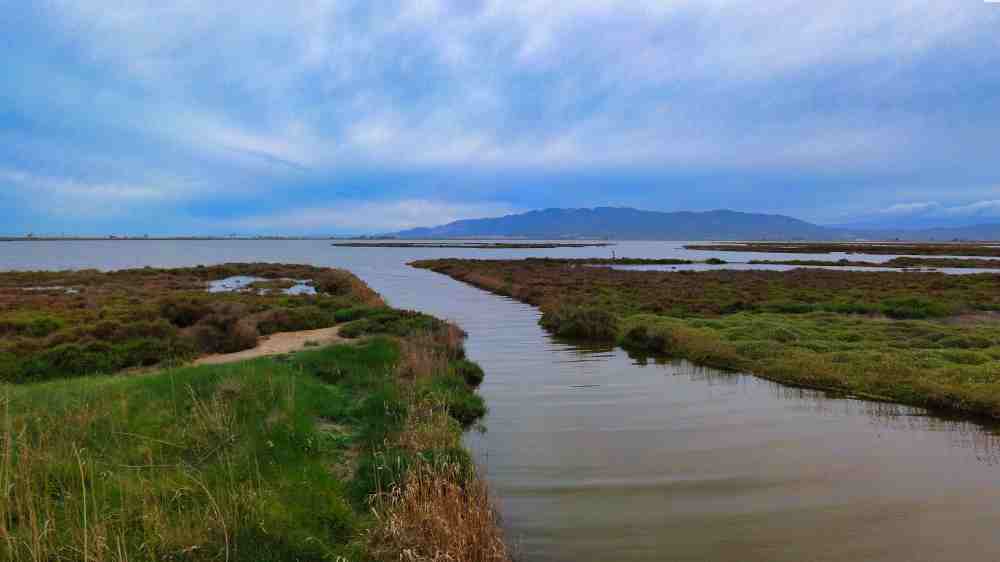 Canales de agua cerca de la desembocadura del Delta del Ebro en Tarragona