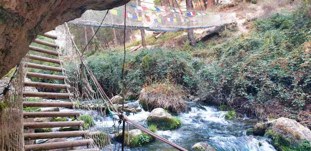 Nerpio en furgoneta camper