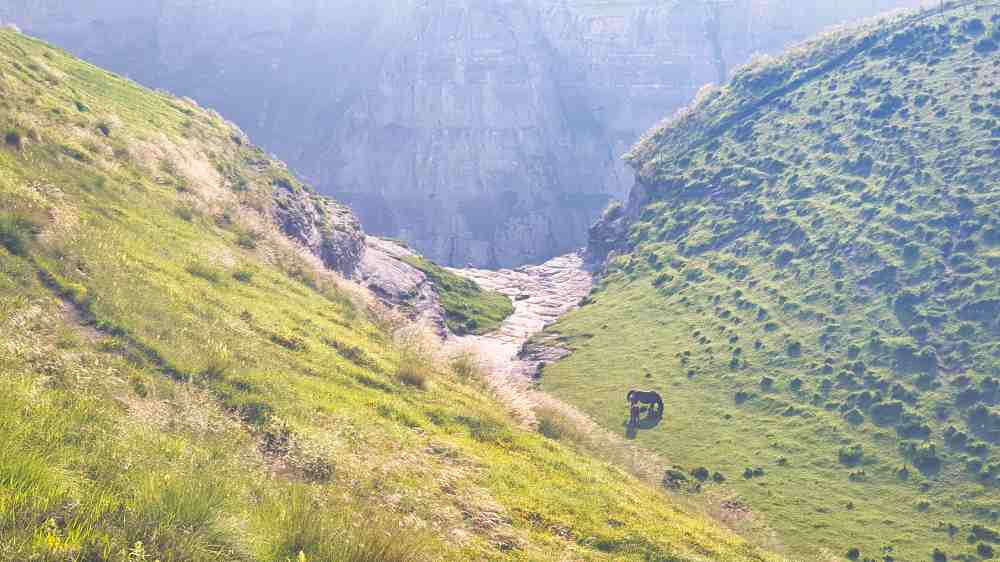 Caballos pastando en el valle junto a la Cascada del Salto del Nervión